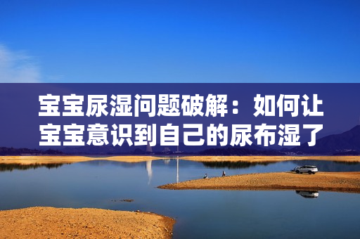 宝宝尿湿问题破解：如何让宝宝意识到自己的尿布湿了