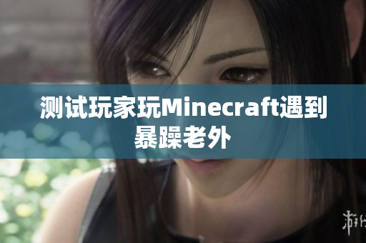 测试玩家玩Minecraft遇到暴躁老外