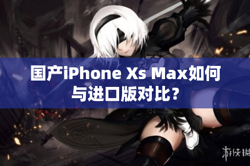 国产iPhone Xs Max如何与进口版对比？