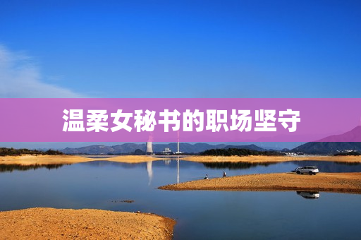 温柔女秘书的职场坚守