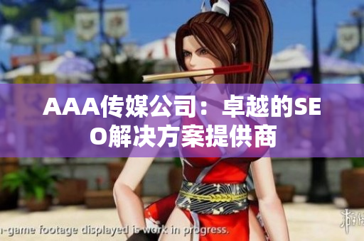 AAA传媒公司：卓越的SEO解决方案提供商