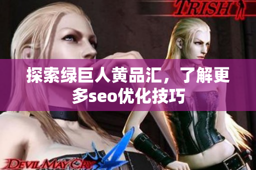 探索绿巨人黄品汇，了解更多seo优化技巧