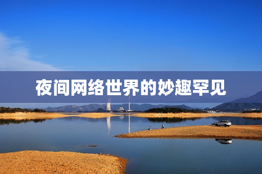 夜间网络世界的妙趣罕见