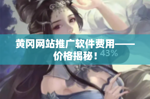黄冈网站推广软件费用——价格揭秘！