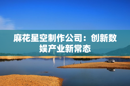 麻花星空制作公司：创新数娱产业新常态