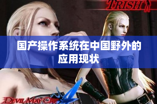 国产操作系统在中国野外的应用现状