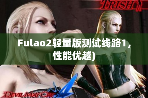 Fulao2轻量版测试线路1，性能优越)