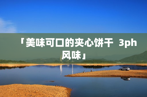 「美味可口的夹心饼干  3ph风味」