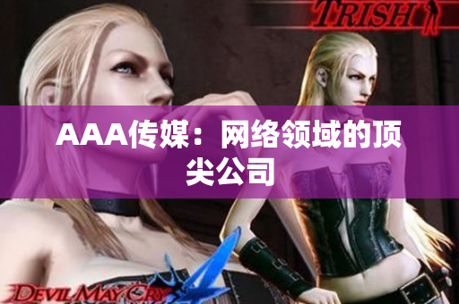 AAA传媒：网络领域的顶尖公司