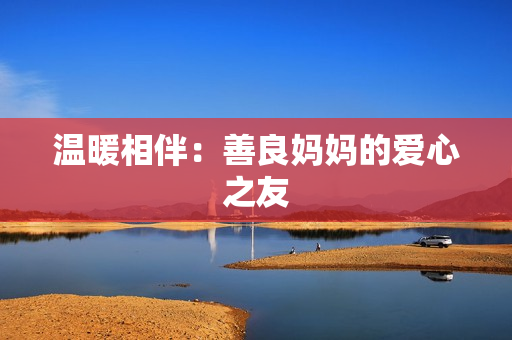 温暖相伴：善良妈妈的爱心之友