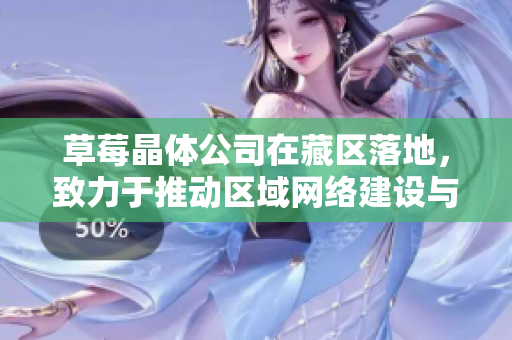 草莓晶体公司在藏区落地，致力于推动区域网络建设与发展