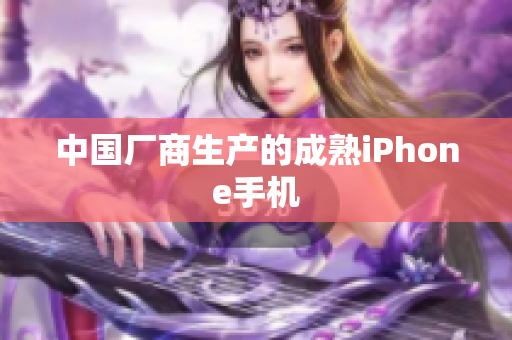 中国厂商生产的成熟iPhone手机