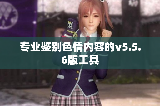 专业鉴别色情内容的v5.5.6版工具