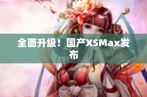 全面升级！国产XSMax发布