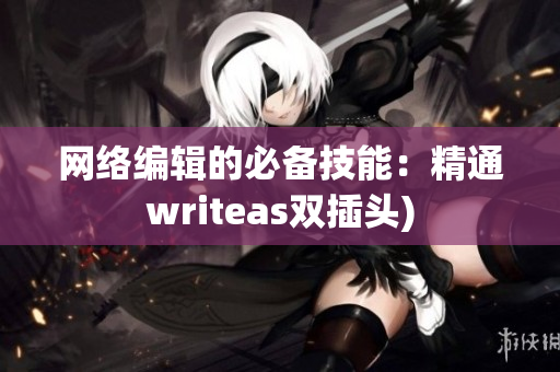 网络编辑的必备技能：精通writeas双插头)