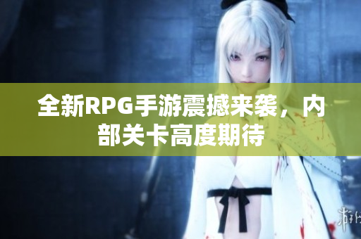 全新RPG手游震撼来袭，内部关卡高度期待