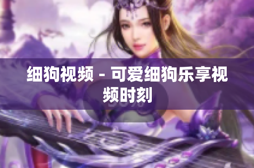细狗视频 - 可爱细狗乐享视频时刻