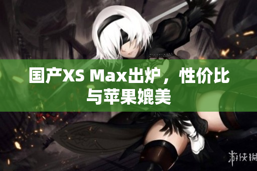 国产XS Max出炉，性价比与苹果媲美