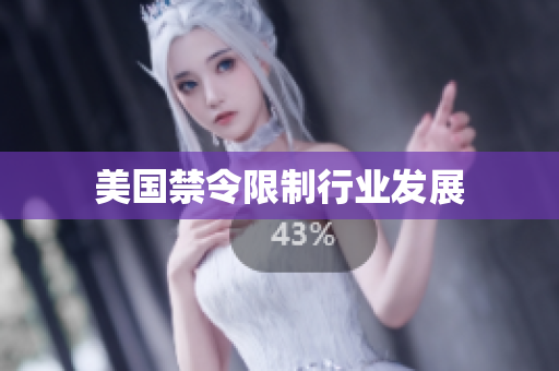 美国禁令限制行业发展