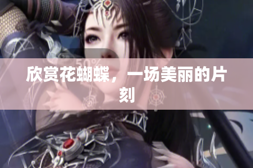 欣赏花蝴蝶，一场美丽的片刻
