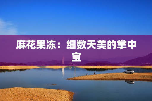 麻花果冻：细数天美的掌中宝