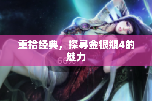 重拾经典，探寻金银瓶4的魅力