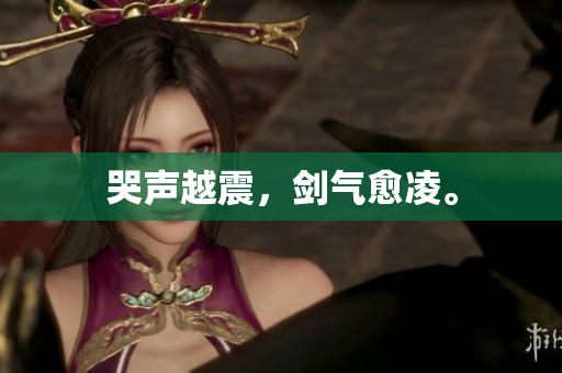 哭声越震，剑气愈凌。