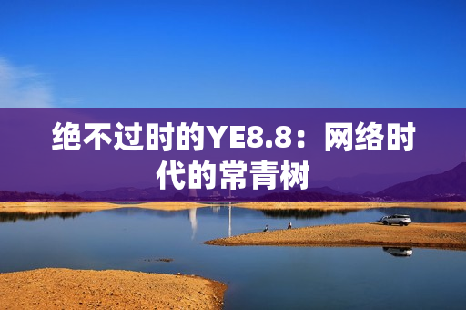 绝不过时的YE8.8：网络时代的常青树
