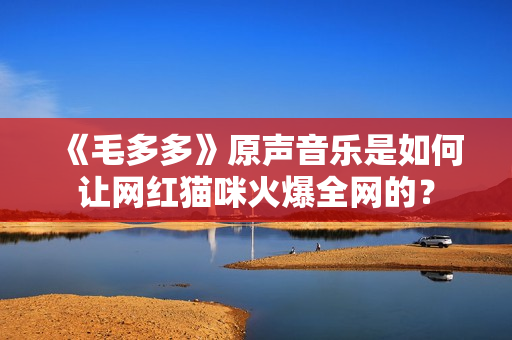 《毛多多》原声音乐是如何让网红猫咪火爆全网的？