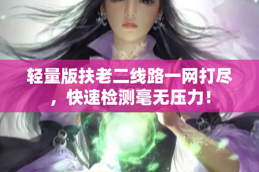 轻量版扶老二线路一网打尽，快速检测毫无压力！