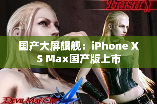 国产大屏旗舰：iPhone XS Max国产版上市