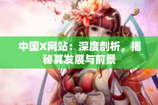 中国X网站：深度剖析，揭秘其发展与前景