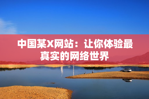 中国某X网站：让你体验最真实的网络世界