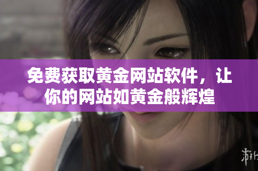 免费获取黄金网站软件，让你的网站如黄金般辉煌