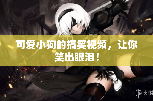 可爱小狗的搞笑视频，让你笑出眼泪！