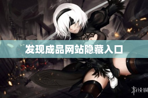 发现成品网站隐藏入口