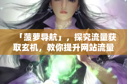 「菠萝导航」，探究流量获取玄机，教你提升网站流量！