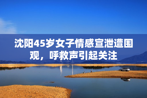 沈阳45岁女子情感宣泄遭围观，呼救声引起关注