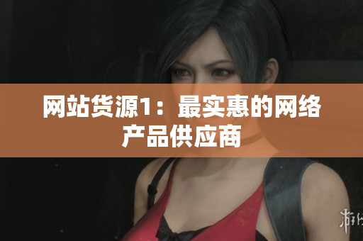 网站货源1：最实惠的网络产品供应商