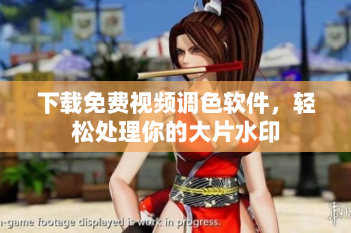 下载免费视频调色软件，轻松处理你的大片水印