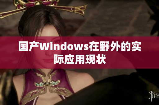国产Windows在野外的实际应用现状