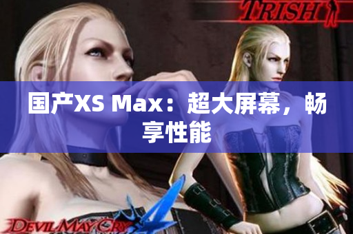 国产XS Max：超大屏幕，畅享性能