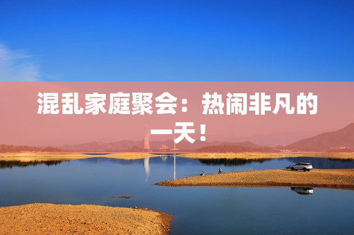 混乱家庭聚会：热闹非凡的一天！