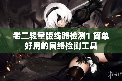 老二轻量版线路检测1 简单好用的网络检测工具