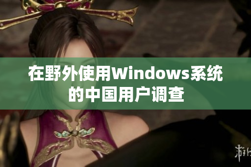 在野外使用Windows系统的中国用户调查