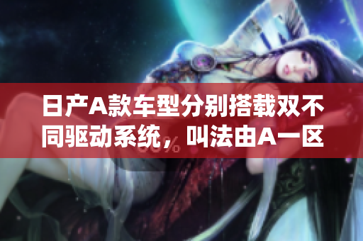 日产A款车型分别搭载双不同驱动系统，叫法由A一区、A二区区分。