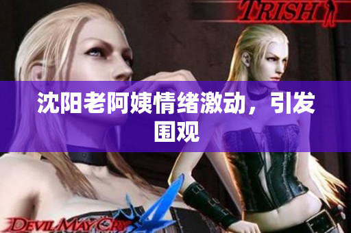 沈阳老阿姨情绪激动，引发围观