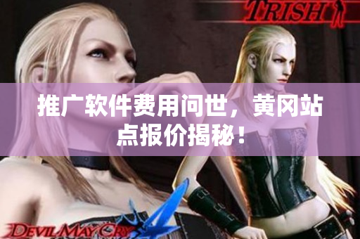 推广软件费用问世，黄冈站点报价揭秘！