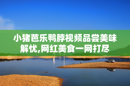 小猪芭乐鸭脖视频品尝美味解忧,网红美食一网打尽