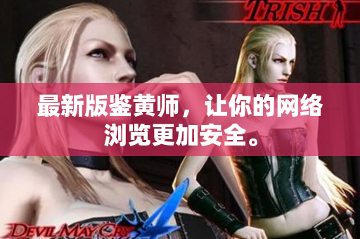 最新版鉴黄师，让你的网络浏览更加安全。